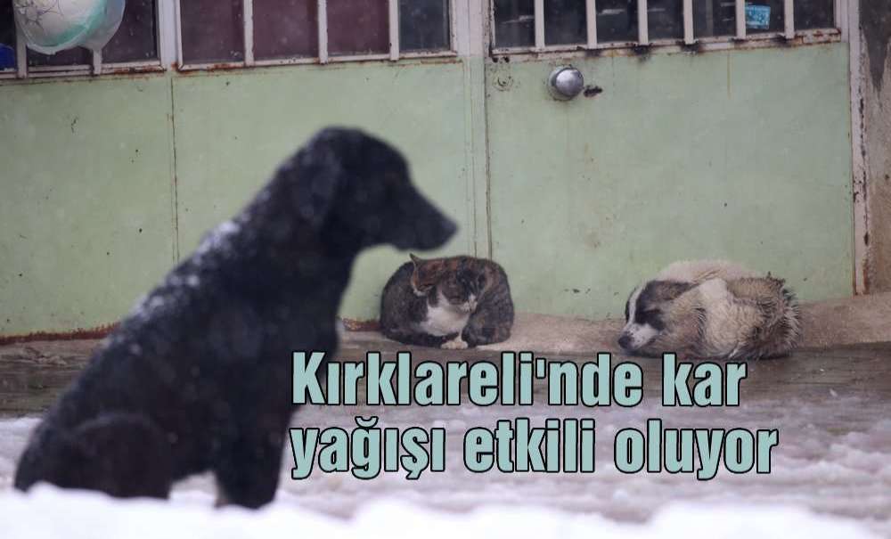 Kırklareli'nde Kar Yağışı Etkili Oluyor