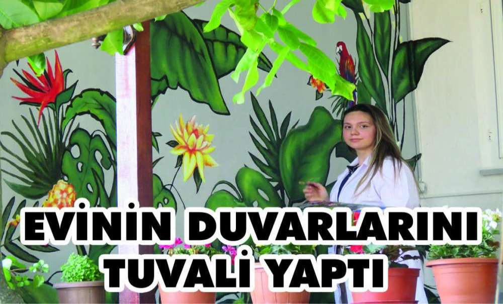 Resim-İş Öğrencisi, Kovid-19 Nedeniyle Döndüğü Köyünde Evinin Duvarlarını Tuvali Yaptı