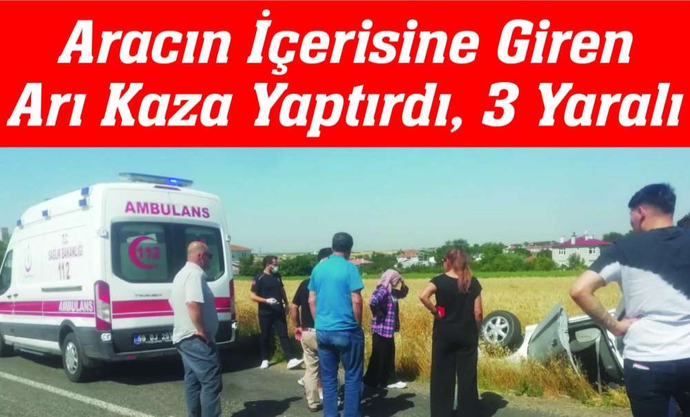 Aracın İçerisine Giren Arı Kaza Yaptırdı, 3 Yaralı