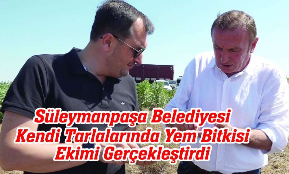 Süleymanpaşa Belediyesi Kendi Tarlalarında Yem Bitkisi Ekimi Gerçekleştirdi