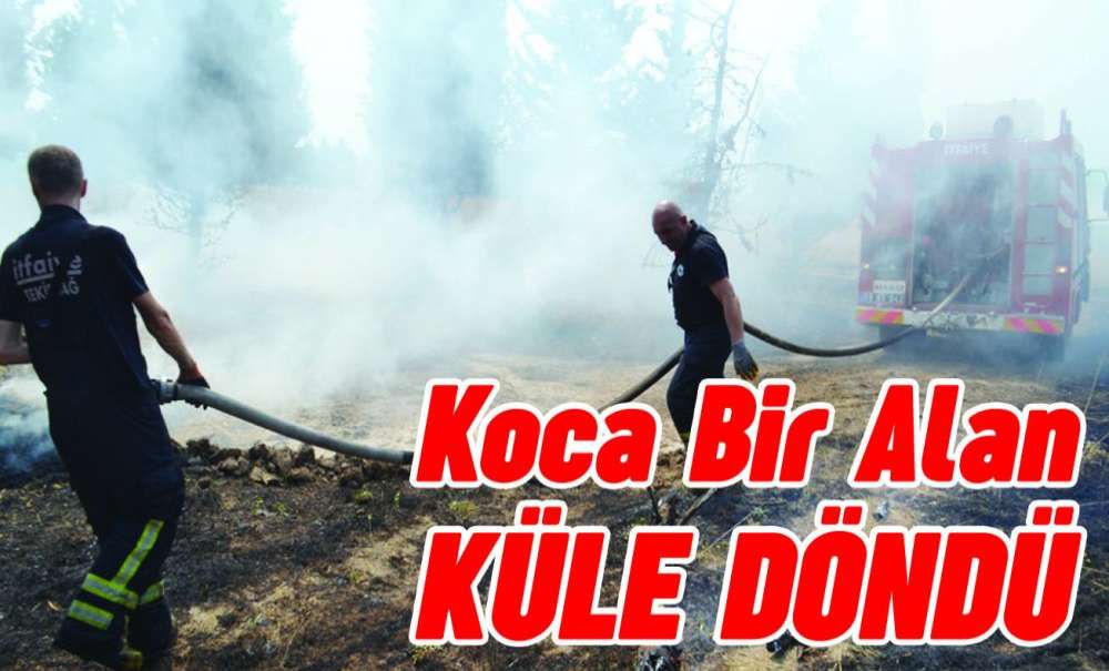 Koca Bir Alan Küle Döndü 