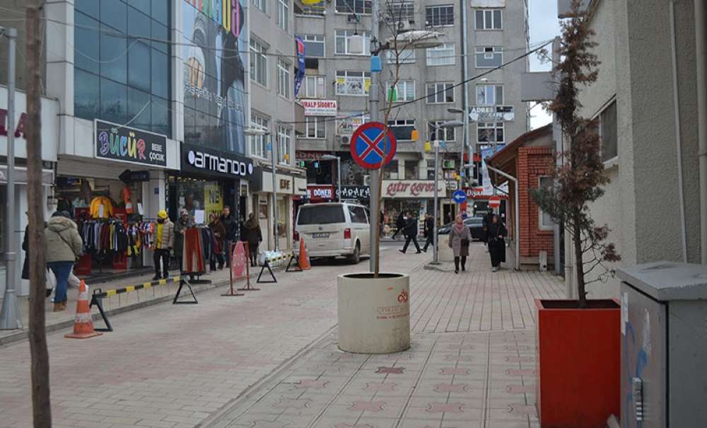 Saksıdaki Ağaçların Kuruması Tepki Çekiyor