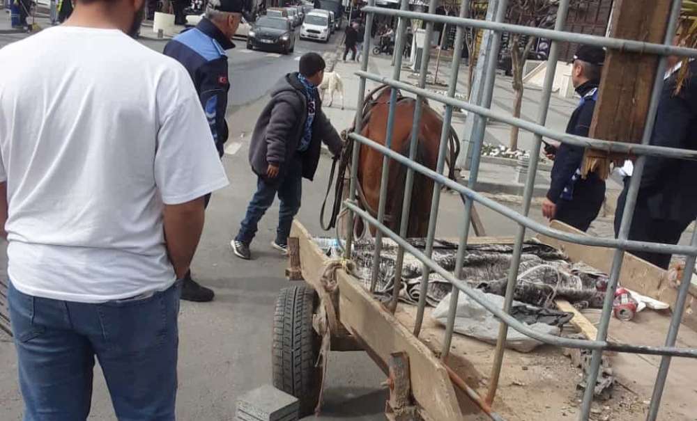 Ana Caddeye Atın Bağlanması Olay Oldu