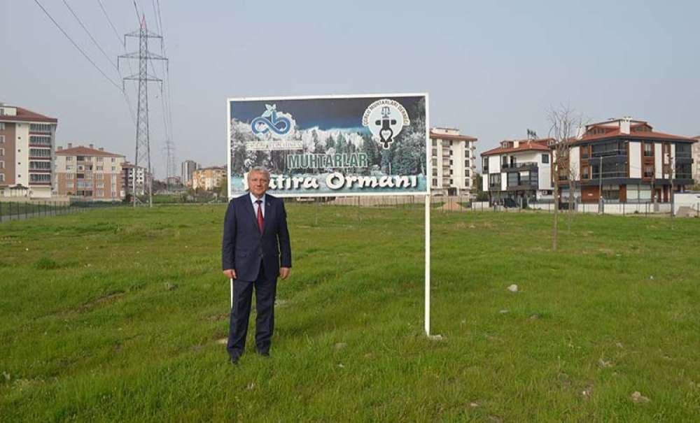 Muhtarlar Ormanı Sosyal Alan Yapılabilir!