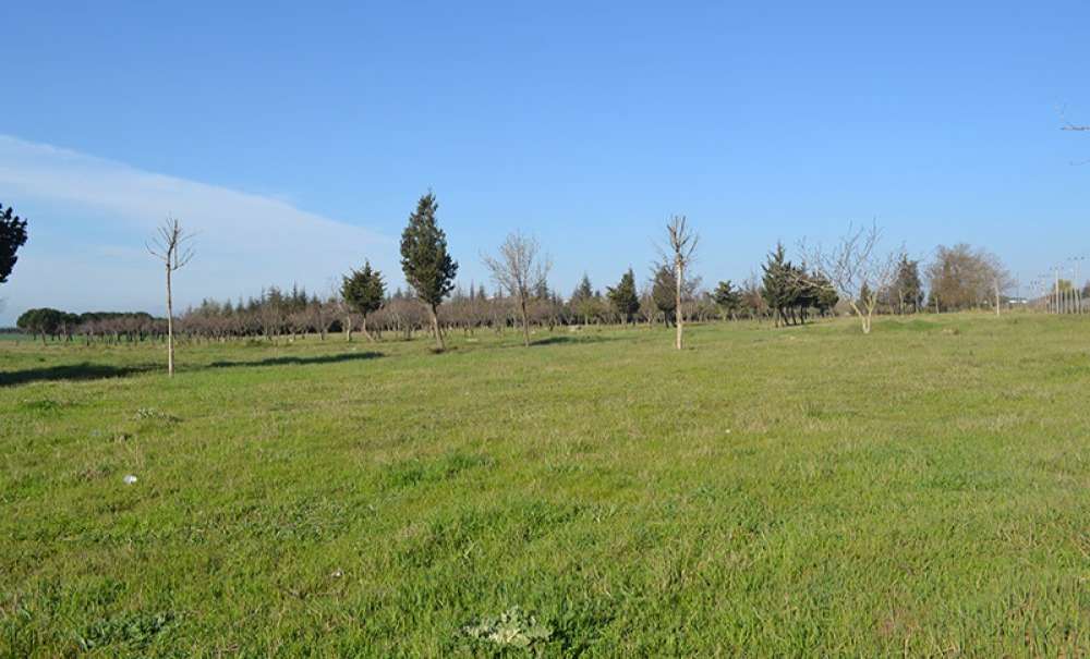 Tema Seçi̇m Vaadleri̇nde Mi̇ Kalacak!