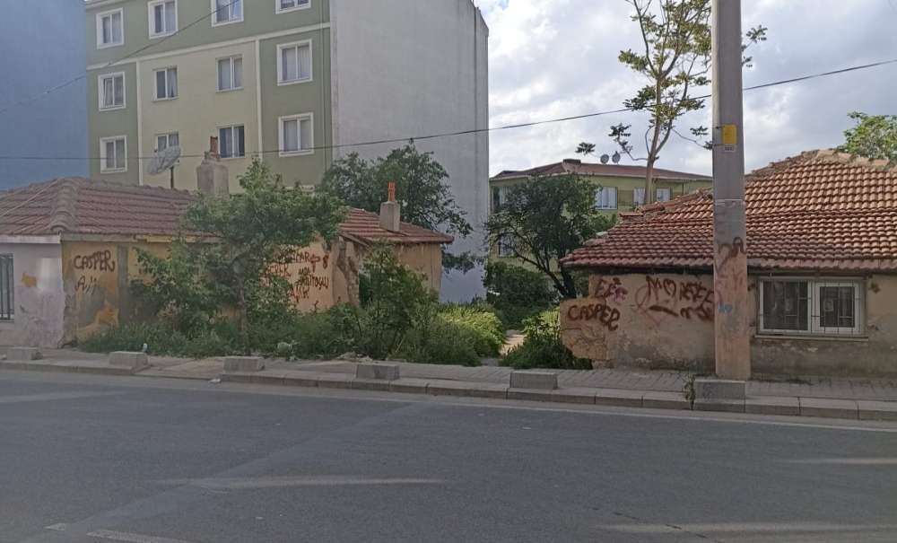 Hıdırağa Mahallesi'nde Kene Paniği