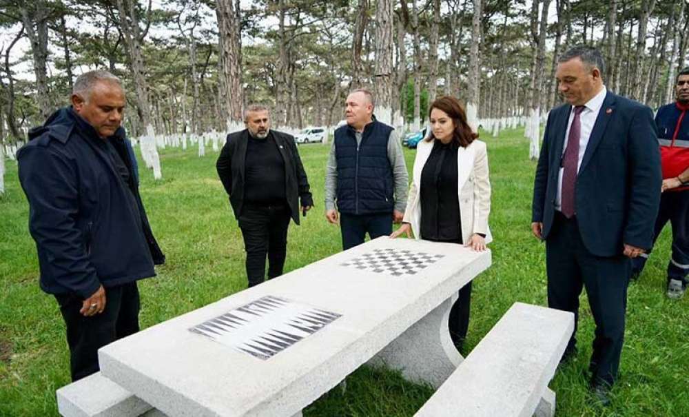 Ulaş Çamlık Mesire Alanı Yaza Hazırlanıyor