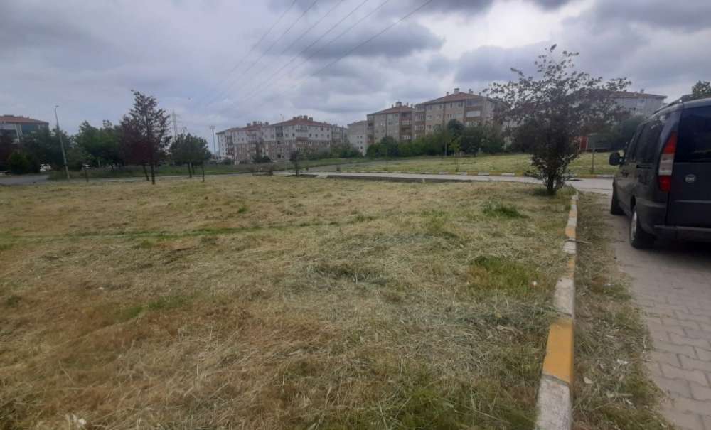 Tehlike Yaratan Otlar Biçildi