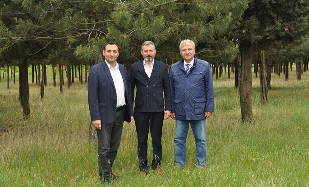 Tema Parkı'nda Piknik Festivali Düzenlenecek