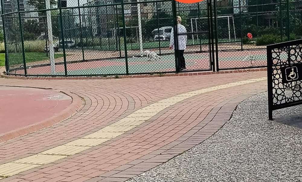 Uyarı Levhası Dikkate Alınmıyor!