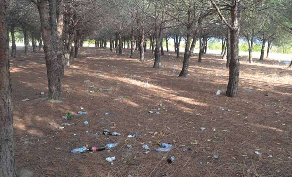 Tema Parkı'na Akşam Saatlerinde Onlarca Araç Giriyor!