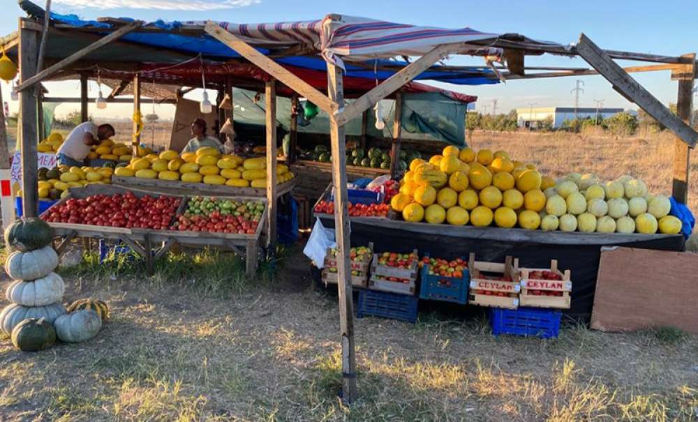 Kuraklık Seymen Kavununu Etkiledi